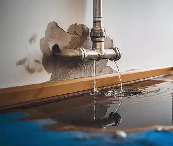 Professional Water Damage Restoration Experts in Berea, KY — Fast, Reliable & Certified