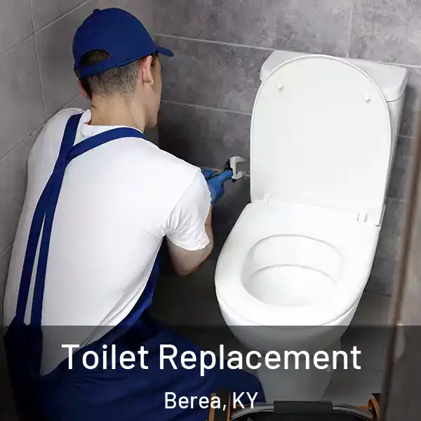  Toilet Replacement Berea, KY