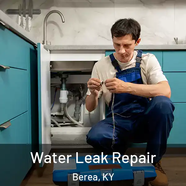  Water Leak Repair Berea, KY